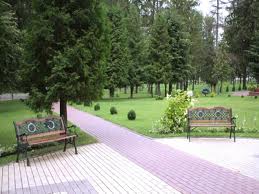 Комплекс Молния