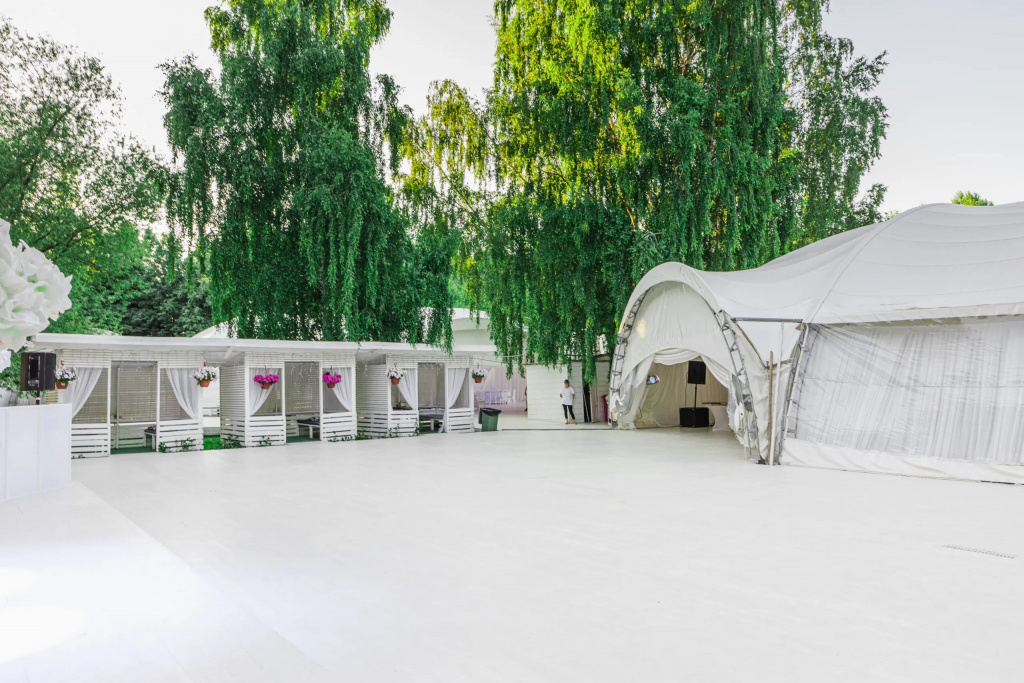 Берёзы Парк Строгино.jpg