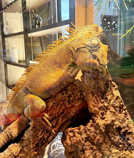 Детский зал