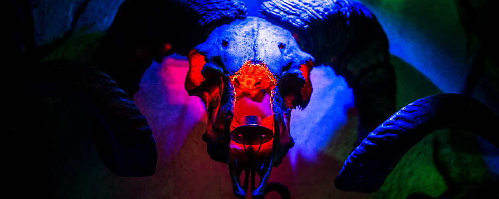 Деревянный Зал