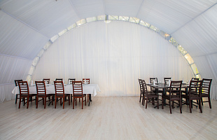 Берёзы Парк Маяк