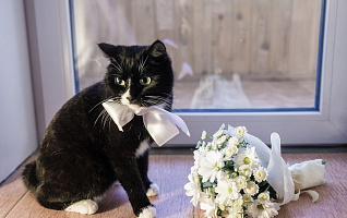 Свадебные приметы: психология суеверий или стоит ли верить в мистику?