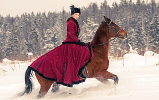 Галопом к удаче в 2026 на Красной Огненной Лошади