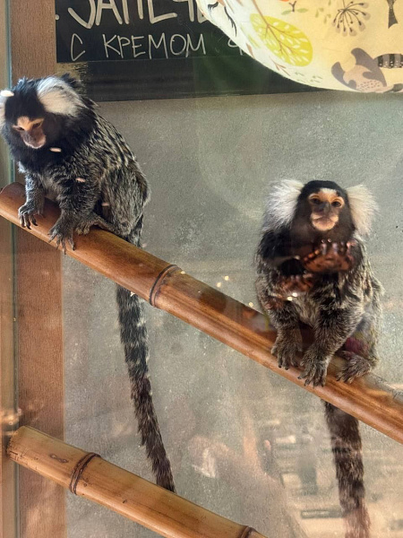 Детский зал