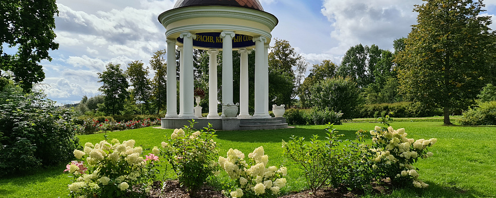 Парковое пространство