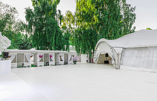 Берёзы парк Строгино