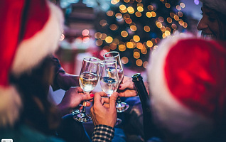 Мудрый совет от Лошади