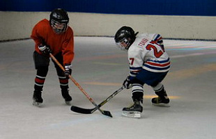 Каток Полярная звезда