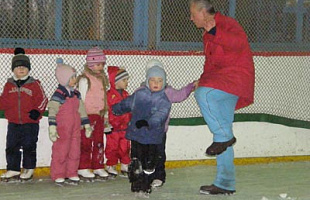 Каток Альпийский лед