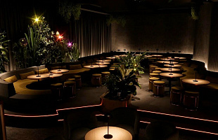 Диско-бар Бигуди