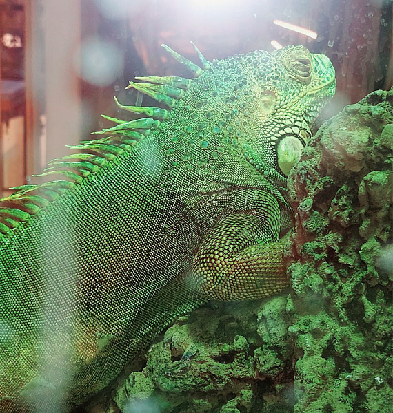 Детский зал