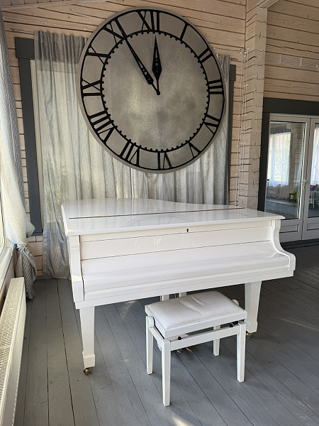 Николо-поле