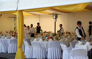 Мистер кейтеринг