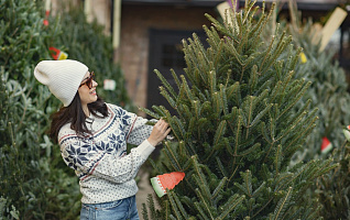 Живая или искусственная ёлка: полный гид для новогоднего выбора