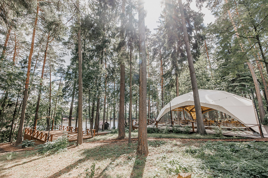 Шатер в сосновом бору