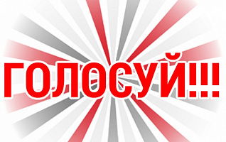 Голосуй! И твой фаворит победит! 