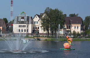 Богородск. Экотель